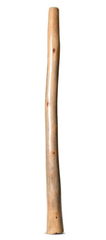 Earl Clements Didgeridoo (EC507)